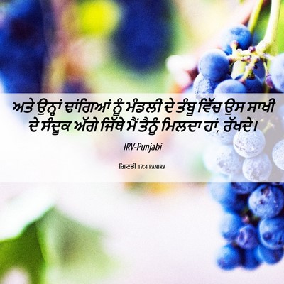 Picture 06 - ਗਿਣਤੀ 17:4 PANIRV - ਅਤੇ ਉਨ੍ਹਾਂ - Bible Verse Picture