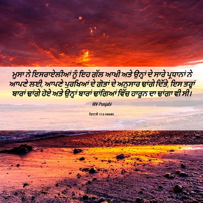Picture 06 - ਗਿਣਤੀ 17:6 PANIRV - ਮੂਸਾ ਨੇ ਇਸਰਾਏਲੀਆਂ - Bible Verse Picture