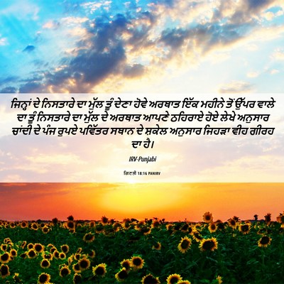 Picture 06 - ਗਿਣਤੀ 18:16 PANIRV - ਜਿਨ੍ਹਾਂ ਦੇ - Bible Verse Picture