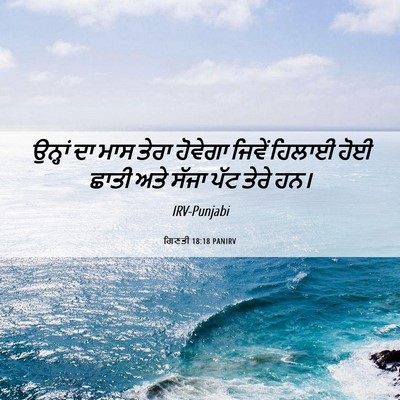 Picture 06 - ਗਿਣਤੀ 18:18 PANIRV - ਉਨ੍ਹਾਂ ਦਾ ਮਾਸ ਤੇਰਾ - Bible Verse Picture