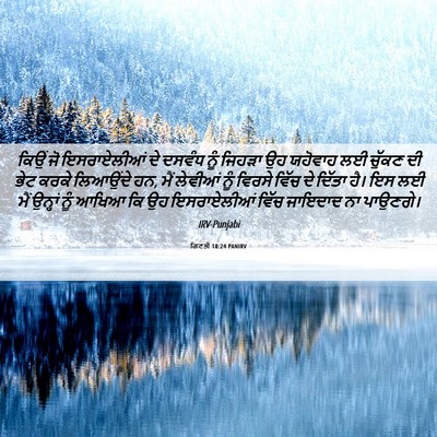 Picture 06 - ਗਿਣਤੀ 18:24 PANIRV - ਕਿਉਂ ਜੋ ਇਸਰਾਏਲੀਆਂ - Bible Verse Picture