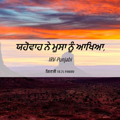 Picture 06 - ਗਿਣਤੀ 18:25 PANIRV - ਯਹੋਵਾਹ ਨੇ ਮੂਸਾ ਨੂੰ - Bible Verse Picture