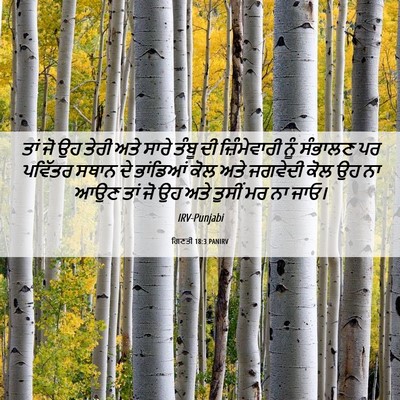 Picture 06 - ਗਿਣਤੀ 18:3 PANIRV - ਤਾਂ ਜੋ ਉਹ ਤੇਰੀ ਅਤੇ - Bible Verse Picture
