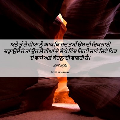 Picture 06 - ਗਿਣਤੀ 18:30 PANIRV - ਅਤੇ ਤੂੰ ਲੇਵੀਆਂ ਨੂੰ - Bible Verse Picture