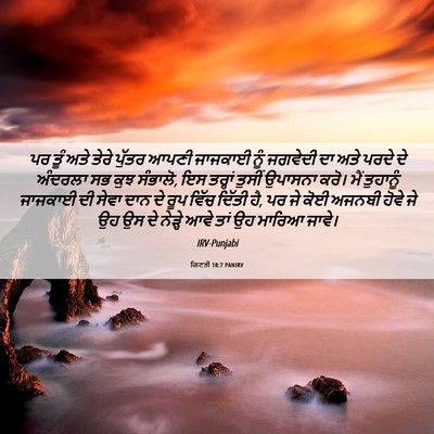 Picture 06 - ਗਿਣਤੀ 18:7 PANIRV - ਪਰ ਤੂੰ ਅਤੇ ਤੇਰੇ - Bible Verse Picture