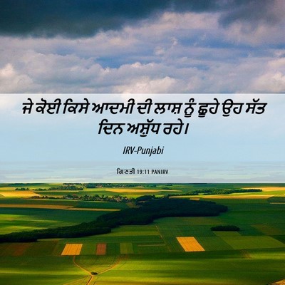 Picture 06 - ਗਿਣਤੀ 19:11 PANIRV - ਜੇ ਕੋਈ ਕਿਸੇ ਆਦਮੀ ਦੀ - Bible Verse Picture