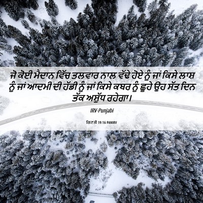 Picture 06 - ਗਿਣਤੀ 19:16 PANIRV - ਜੋ ਕੋਈ ਮੈਦਾਨ ਵਿੱਚ - Bible Verse Picture