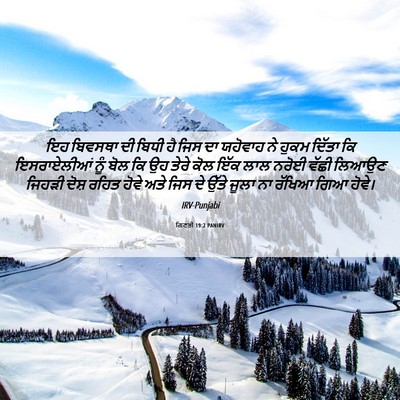 Picture 06 - ਗਿਣਤੀ 19:2 PANIRV - ਇਹ ਬਿਵਸਥਾ ਦੀ ਬਿਧੀ - Bible Verse Picture