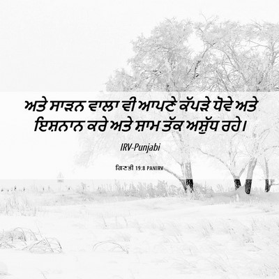Picture 06 - ਗਿਣਤੀ 19:8 PANIRV - ਅਤੇ ਸਾੜਨ ਵਾਲਾ ਵੀ - Bible Verse Picture