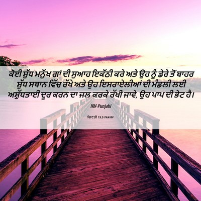 Picture 06 - ਗਿਣਤੀ 19:9 PANIRV - ਕੋਈ ਸ਼ੁੱਧ ਮਨੁੱਖ - Bible Verse Picture