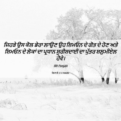 Picture 06 - ਗਿਣਤੀ 2:12 PANIRV - ਜਿਹੜੇ ਉਸ ਕੋਲ ਡੇਰਾ - Bible Verse Picture
