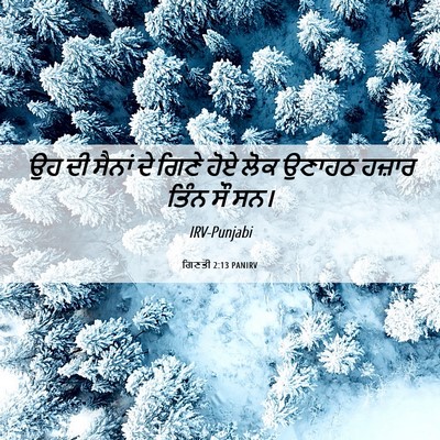 Picture 06 - ਗਿਣਤੀ 2:13 PANIRV - ਉਹ ਦੀ ਸੈਨਾਂ ਦੇ ਗਿਣੇ - Bible Verse Picture