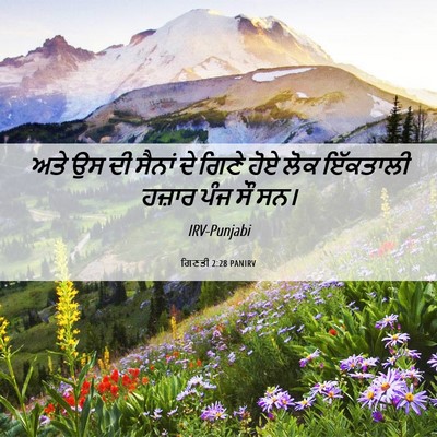 Picture 06 - ਗਿਣਤੀ 2:28 PANIRV - ਅਤੇ ਉਸ ਦੀ ਸੈਨਾਂ ਦੇ - Bible Verse Picture