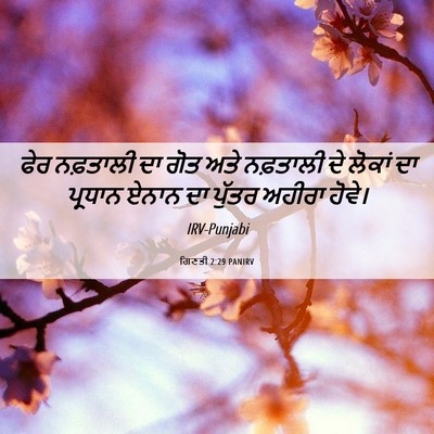 Picture 06 - ਗਿਣਤੀ 2:29 PANIRV - ਫੇਰ ਨਫ਼ਤਾਲੀ ਦਾ ਗੋਤ - Bible Verse Picture