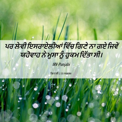 Picture 06 - ਗਿਣਤੀ 2:33 PANIRV - ਪਰ ਲੇਵੀ ਇਸਰਾਏਲੀਆਂ - Bible Verse Picture