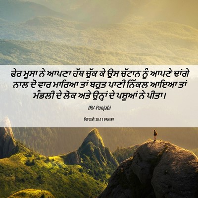 Picture 06 - ਗਿਣਤੀ 20:11 PANIRV - ਫੇਰ ਮੂਸਾ ਨੇ ਆਪਣਾ - Bible Verse Picture