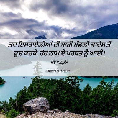 Picture 06 - ਗਿਣਤੀ 20:22 PANIRV - ਤਦ ਇਸਰਾਏਲੀਆਂ ਦੀ - Bible Verse Picture