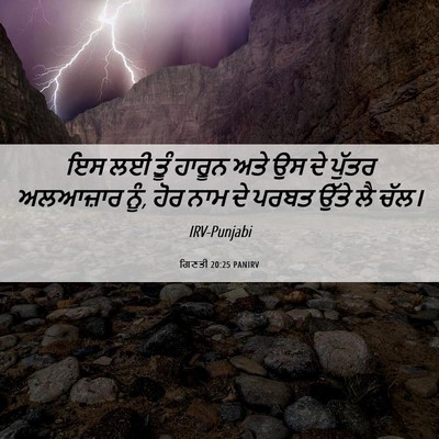 Picture 06 - ਗਿਣਤੀ 20:25 PANIRV - ਇਸ ਲਈ ਤੂੰ ਹਾਰੂਨ ਅਤੇ - Bible Verse Picture