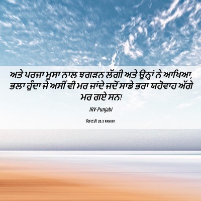 Picture 06 - ਗਿਣਤੀ 20:3 PANIRV - ਅਤੇ ਪਰਜਾ ਮੂਸਾ ਨਾਲ - Bible Verse Picture