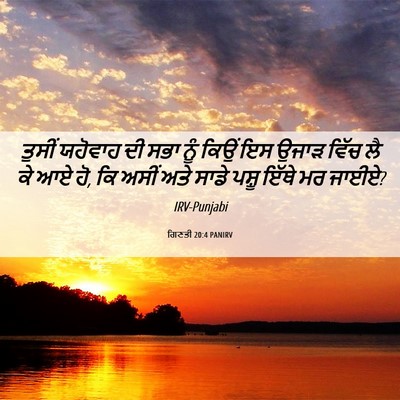 Picture 06 - ਗਿਣਤੀ 20:4 PANIRV - ਤੁਸੀਂ ਯਹੋਵਾਹ ਦੀ - Bible Verse Picture