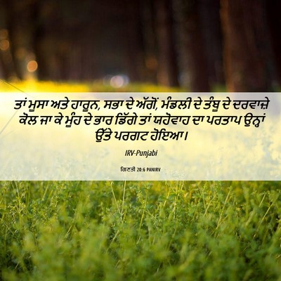 Picture 06 - ਗਿਣਤੀ 20:6 PANIRV - ਤਾਂ ਮੂਸਾ ਅਤੇ ਹਾਰੂਨ, - Bible Verse Picture