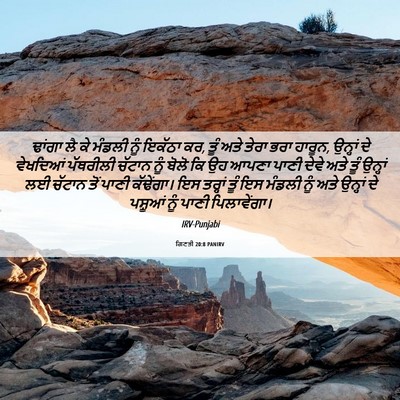 Picture 06 - ਗਿਣਤੀ 20:8 PANIRV - ਢਾਂਗਾ ਲੈ ਕੇ ਮੰਡਲੀ - Bible Verse Picture