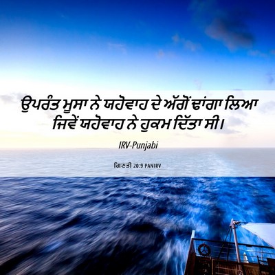 Picture 06 - ਗਿਣਤੀ 20:9 PANIRV - ਉਪਰੰਤ ਮੂਸਾ ਨੇ - Bible Verse Picture