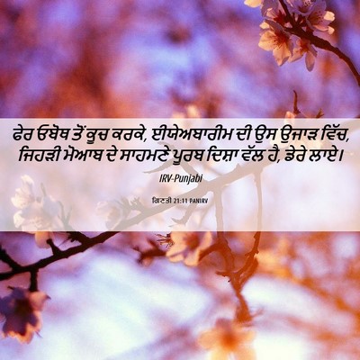 Picture 06 - ਗਿਣਤੀ 21:11 PANIRV - ਫੇਰ ਓਬੋਥ ਤੋਂ ਕੂਚ - Bible Verse Picture