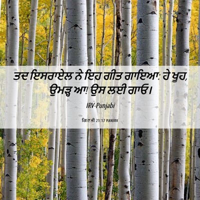 Picture 06 - ਗਿਣਤੀ 21:17 PANIRV - ਤਦ ਇਸਰਾਏਲ ਨੇ ਇਹ ਗੀਤ - Bible Verse Picture