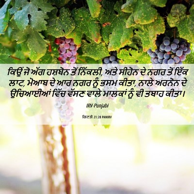 Picture 06 - ਗਿਣਤੀ 21:28 PANIRV - ਕਿਉਂ ਜੋ ਅੱਗ ਹਸ਼ਬੋਨ - Bible Verse Picture