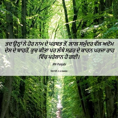 Picture 06 - ਗਿਣਤੀ 21:4 PANIRV - ਤਦ ਉਨ੍ਹਾਂ ਨੇ ਹੋਰ - Bible Verse Picture