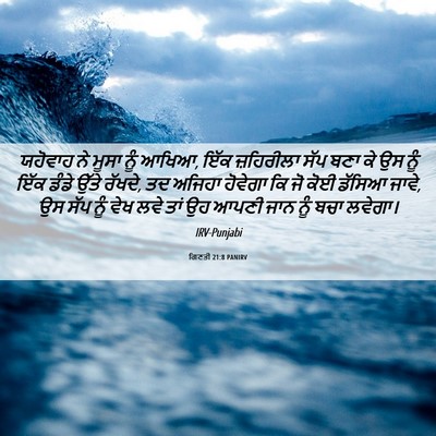 Picture 06 - ਗਿਣਤੀ 21:8 PANIRV - ਯਹੋਵਾਹ ਨੇ ਮੂਸਾ ਨੂੰ - Bible Verse Picture