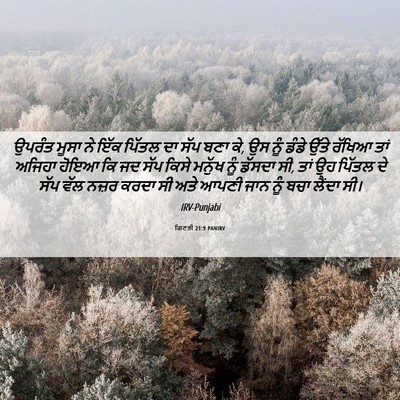 Picture 06 - ਗਿਣਤੀ 21:9 PANIRV - ਉਪਰੰਤ ਮੂਸਾ ਨੇ ਇੱਕ - Bible Verse Picture