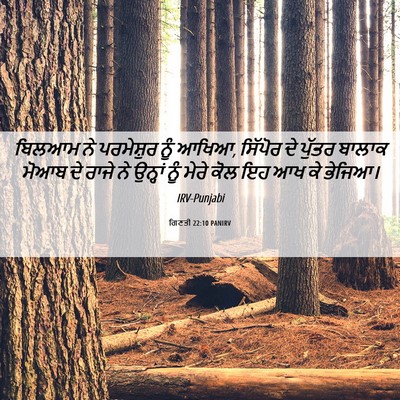 Picture 06 - ਗਿਣਤੀ 22:10 PANIRV - ਬਿਲਆਮ ਨੇ ਪਰਮੇਸ਼ੁਰ - Bible Verse Picture