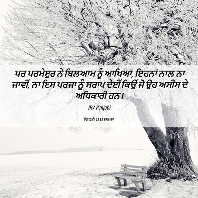 Picture 06 - ਗਿਣਤੀ 22:12 PANIRV - ਪਰ ਪਰਮੇਸ਼ੁਰ ਨੇ - Bible Verse Picture