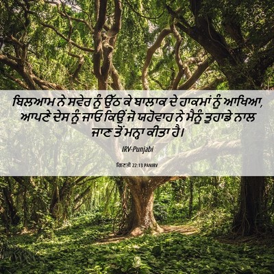 Picture 06 - ਗਿਣਤੀ 22:13 PANIRV - ਬਿਲਆਮ ਨੇ ਸਵੇਰ ਨੂੰ - Bible Verse Picture