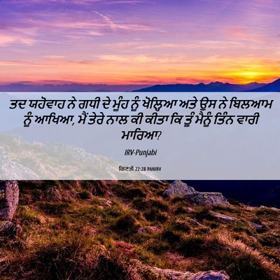 Picture 06 - ਗਿਣਤੀ 22:28 PANIRV - ਤਦ ਯਹੋਵਾਹ ਨੇ ਗਧੀ ਦੇ - Bible Verse Picture