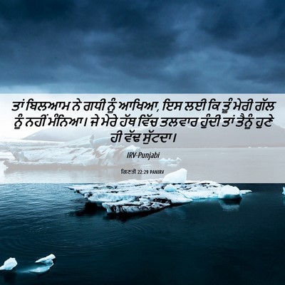 Picture 06 - ਗਿਣਤੀ 22:29 PANIRV - ਤਾਂ ਬਿਲਆਮ ਨੇ ਗਧੀ - Bible Verse Picture