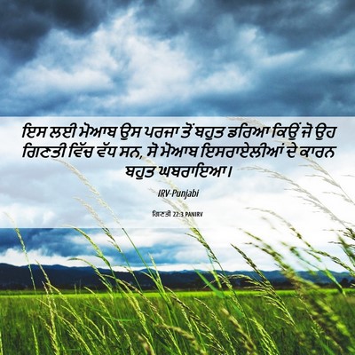Picture 06 - ਗਿਣਤੀ 22:3 PANIRV - ਇਸ ਲਈ ਮੋਆਬ ਉਸ ਪਰਜਾ - Bible Verse Picture