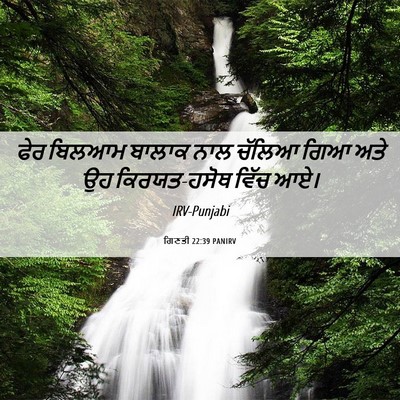 Picture 06 - ਗਿਣਤੀ 22:39 PANIRV - ਫੇਰ ਬਿਲਆਮ ਬਾਲਾਕ - Bible Verse Picture