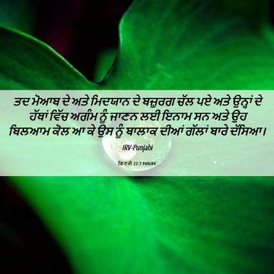 Picture 06 - ਗਿਣਤੀ 22:7 PANIRV - ਤਦ ਮੋਆਬ ਦੇ ਅਤੇ - Bible Verse Picture