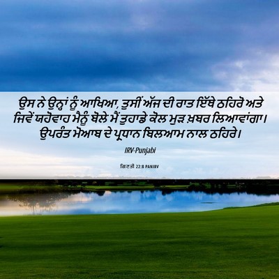 Picture 06 - ਗਿਣਤੀ 22:8 PANIRV - ਉਸ ਨੇ ਉਨ੍ਹਾਂ ਨੂੰ - Bible Verse Picture