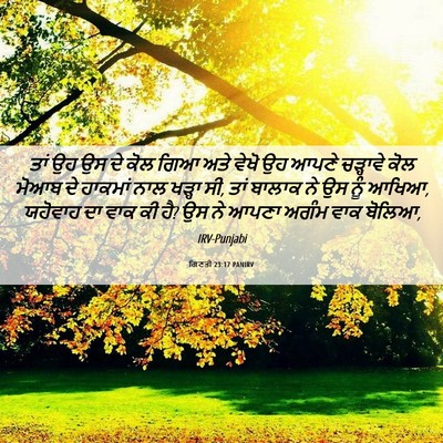 Picture 06 - ਗਿਣਤੀ 23:17 PANIRV - ਤਾਂ ਉਹ ਉਸ ਦੇ ਕੋਲ - Bible Verse Picture