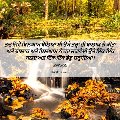 Picture 06 - ਗਿਣਤੀ 23:2 PANIRV - ਤਦ ਜਿਵੇਂ ਬਿਲਆਮ - Bible Verse Picture