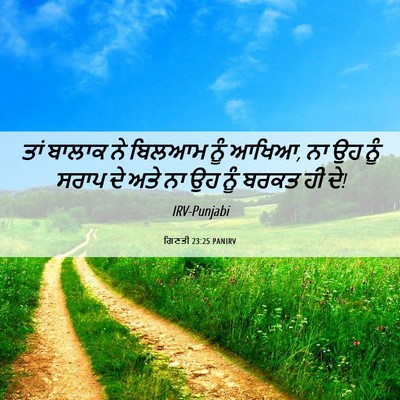 Picture 06 - ਗਿਣਤੀ 23:25 PANIRV - ਤਾਂ ਬਾਲਾਕ ਨੇ ਬਿਲਆਮ - Bible Verse Picture