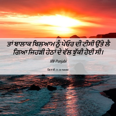 Picture 06 - ਗਿਣਤੀ 23:28 PANIRV - ਤਾਂ ਬਾਲਾਕ ਬਿਲਆਮ - Bible Verse Picture