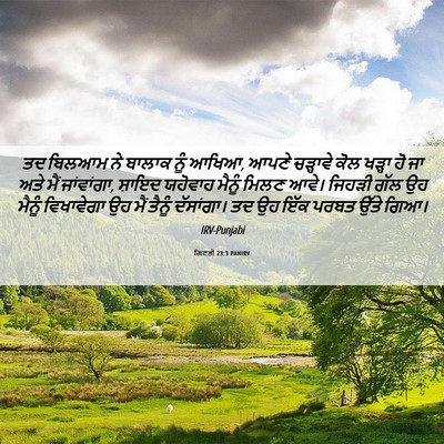 Picture 06 - ਗਿਣਤੀ 23:3 PANIRV - ਤਦ ਬਿਲਆਮ ਨੇ ਬਾਲਾਕ - Bible Verse Picture