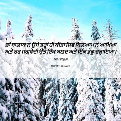 Picture 06 - ਗਿਣਤੀ 23:30 PANIRV - ਤਾਂ ਬਾਲਾਕ ਨੇ ਉਸੇ - Bible Verse Picture