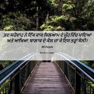 Picture 06 - ਗਿਣਤੀ 23:5 PANIRV - ਤਦ ਯਹੋਵਾਹ ਨੇ ਇੱਕ - Bible Verse Picture