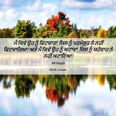 Picture 06 - ਗਿਣਤੀ 23:8 PANIRV - ਮੈਂ ਕਿਵੇਂ ਉਹ ਨੂੰ - Bible Verse Picture